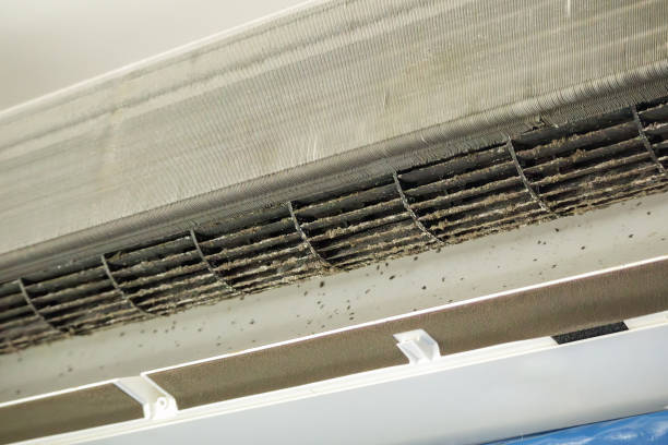 Best Affordable HVAC Duct Cleaning  in Sweet Home, OR